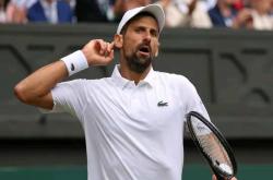 爱游戏体育-包含世界网球队血洗法国网球队，德约科维奇惊艳世界的词条