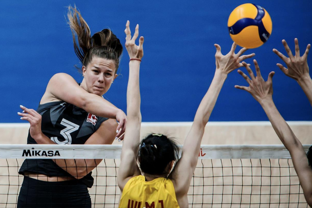 关于法国排球运动员精湛技艺，技压群雄的信息