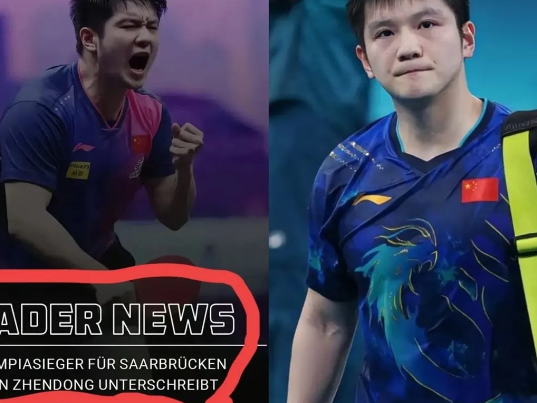 奥地利队横扫德国队,樊振东高光表现的简单介绍 奥地利队横扫德国队,樊振东高光表现的简单介绍