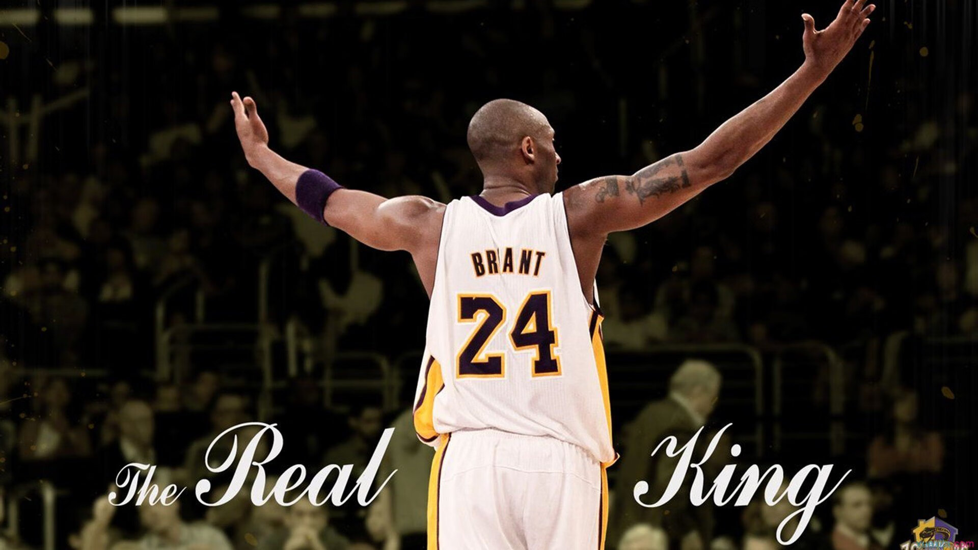 戈贝尔完成自我救赎，国王决胜局力克尼克斯