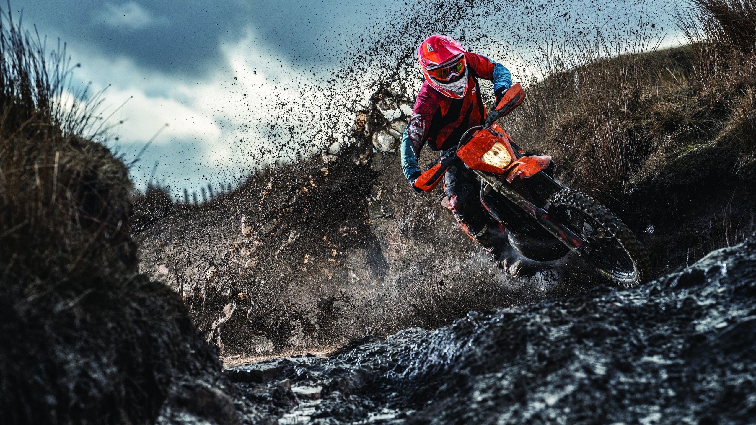 库尔图瓦的叹息之墙，一场教科书式表演如何让爱尔兰在塞维利亚的狂潮中幸存