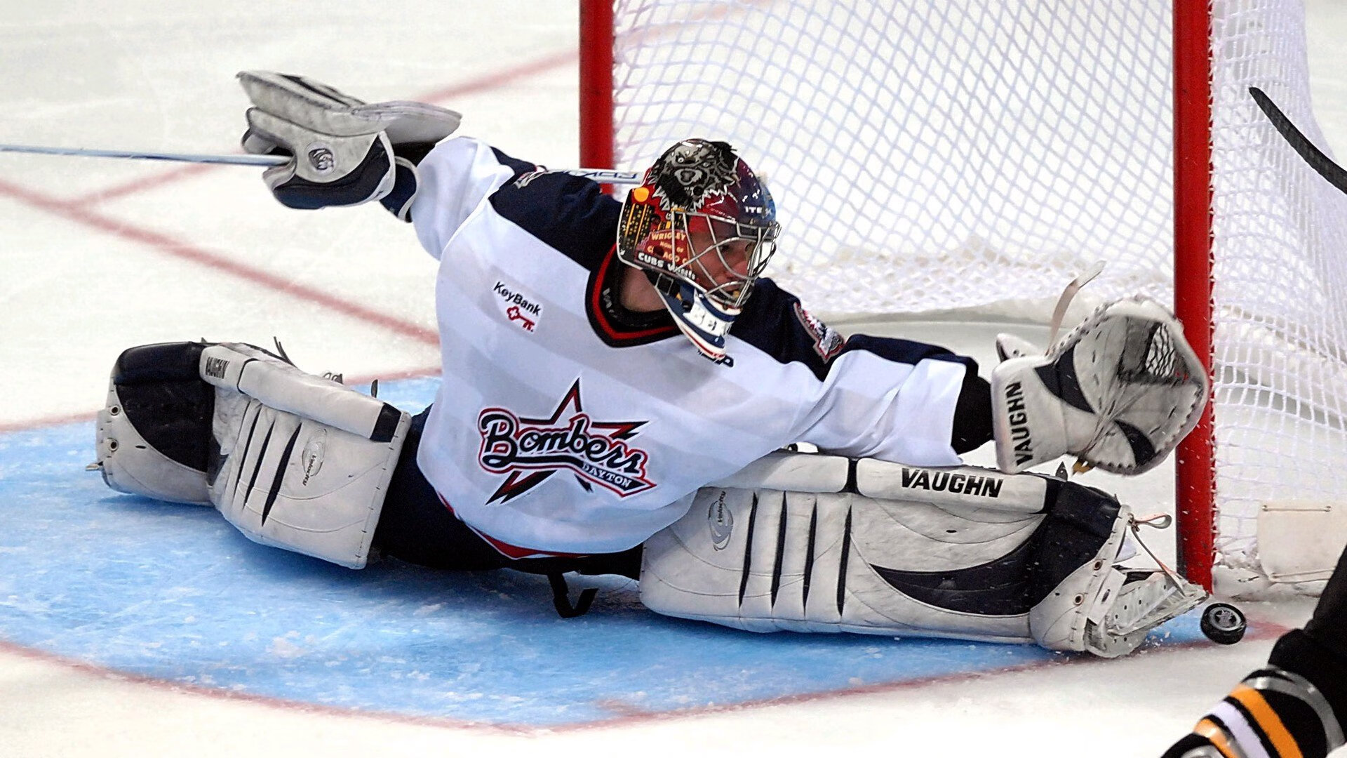 赛道上的红色风暴，维斯塔潘引爆激情，红牛车队完胜威廉姆斯